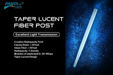 Load image into Gallery viewer, Fanta Fibre Post - Pack of 10