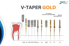 Load image into Gallery viewer, Fanta V-Taper Gold (SX - F3)