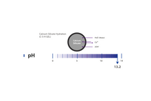 Load image into Gallery viewer, One-Fil Bioceramic Sealer